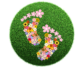 footprints, flower, grass-7355586.jpg